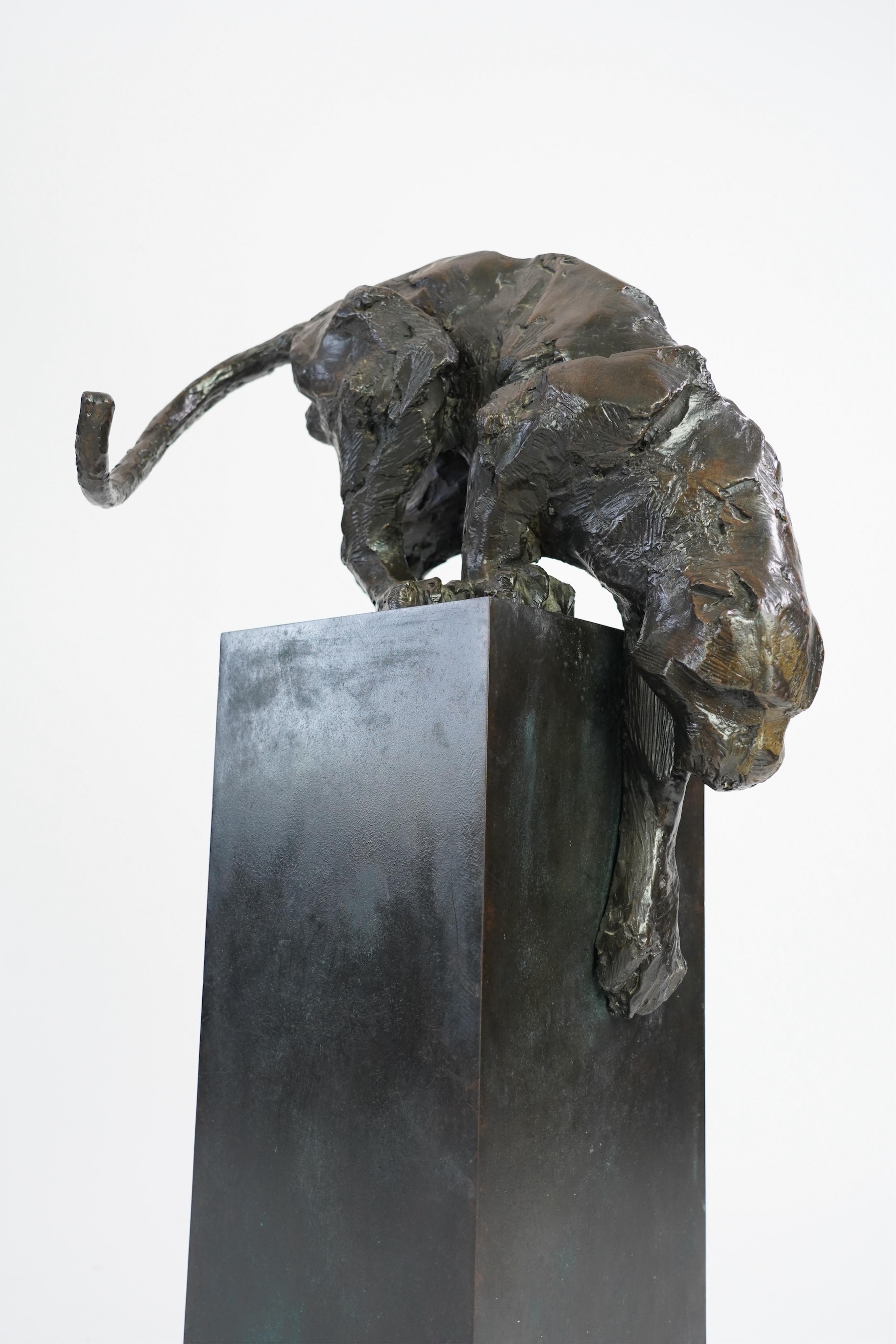 Kate Denton (b. 1954), 'Panther'